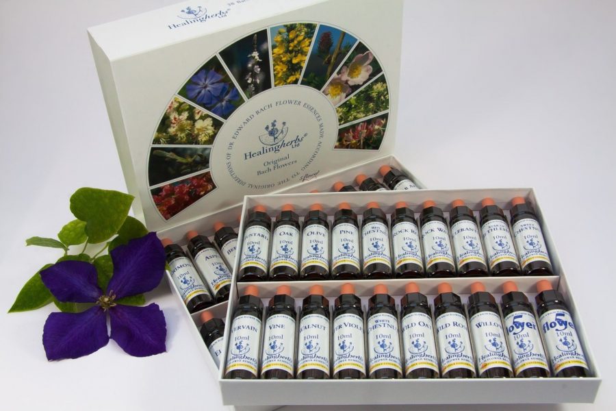 Supera tus miedos con Flores de Bach